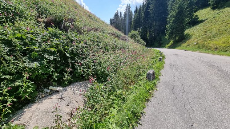 Disservizi Tim contrada Xebbo di Gallio