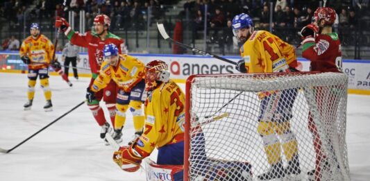 Ice Hockey Finale Continental Cup 2023 - Asiago vs Cardiff - Justin Fazio