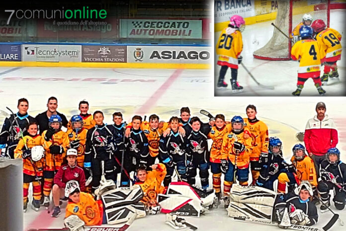 Asiago Hockey Junior - settore giovanile - amichevole Under 14 luglio 2023