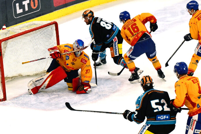 Black Wings Linz - Asiago Hockey