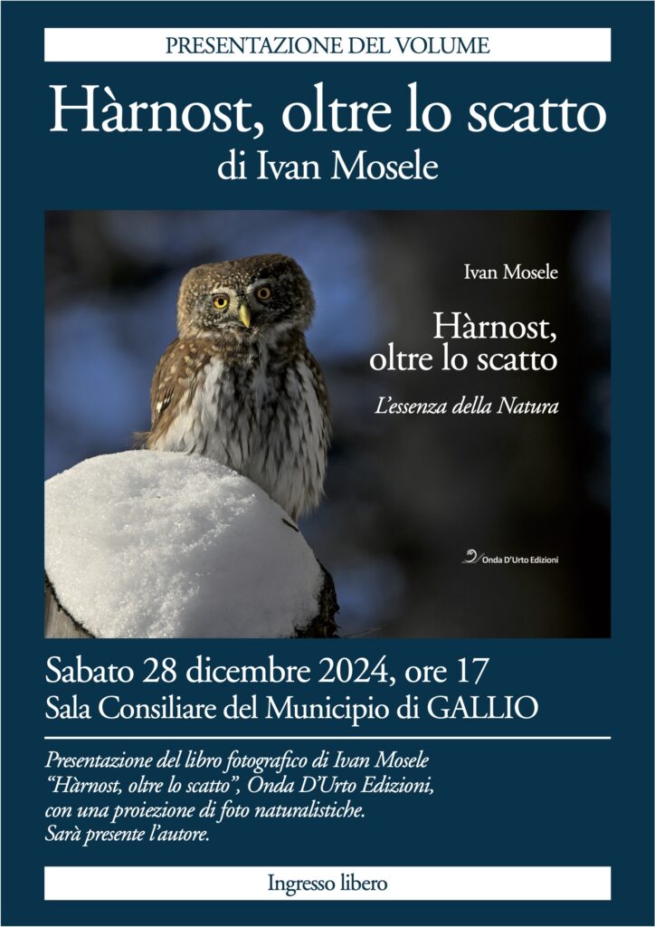 Locandina Hàrnost - 28 dicembre Gallio