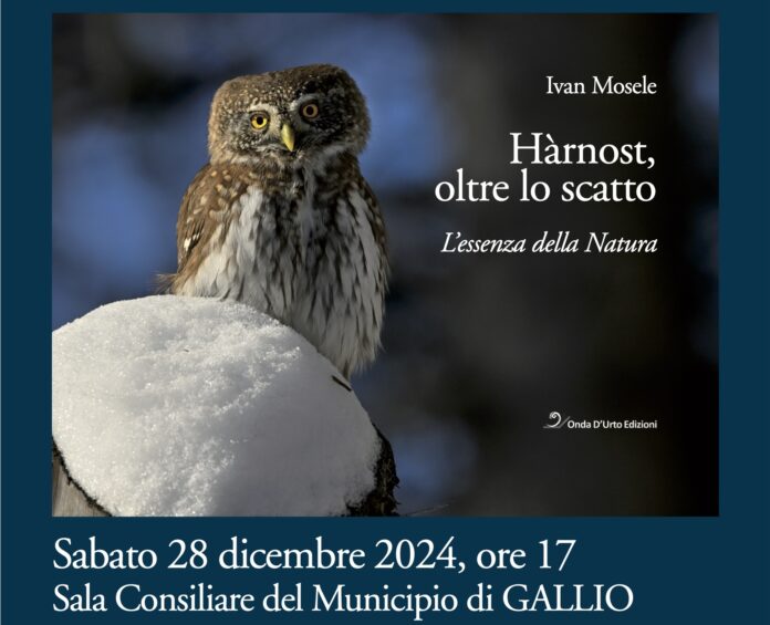 Locandina Hàrnost - 28 dicembre Gallio